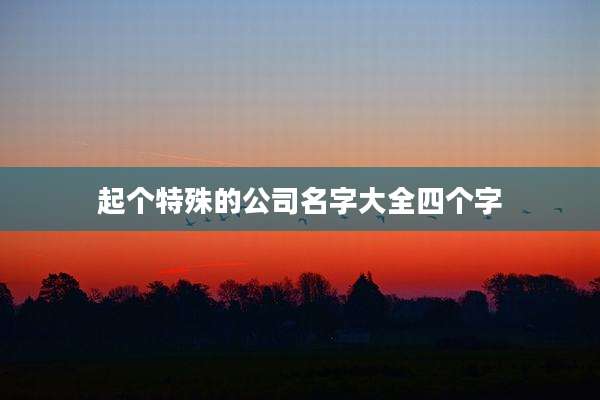 起个特殊的公司名字大全四个字