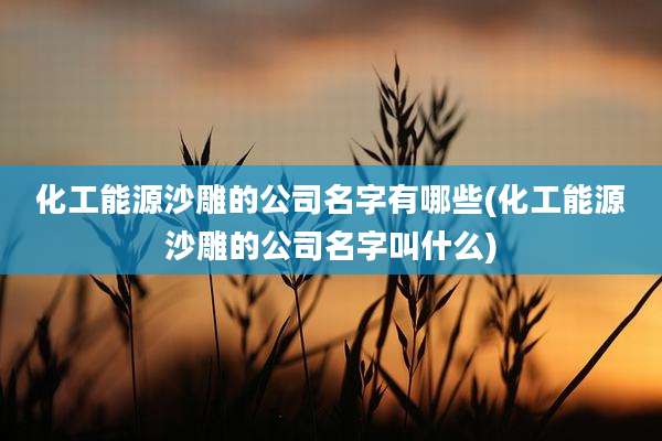 化工能源沙雕的公司名字有哪些(化工能源沙雕的公司名字叫什么)