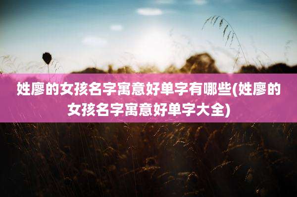 姓廖的女孩名字寓意好单字有哪些(姓廖的女孩名字寓意好单字大全)