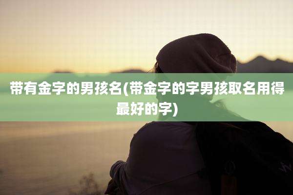 带有金字的男孩名(带金字的字男孩取名用得最好的字)