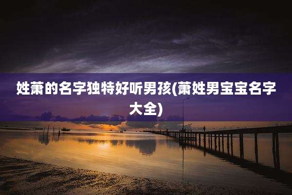 姓萧的名字独特好听男孩(萧姓男宝宝名字大全)