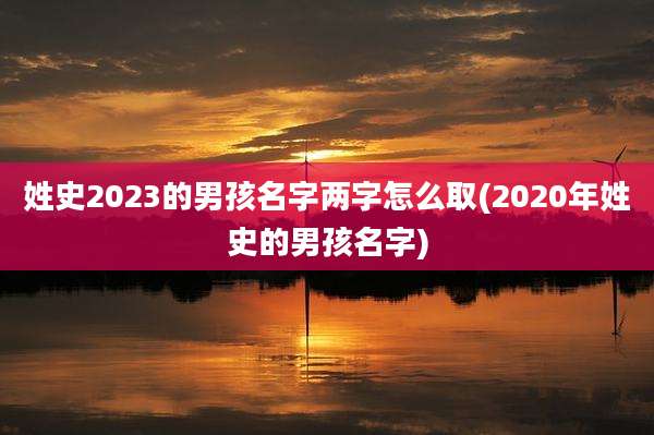 姓史2023的男孩名字两字怎么取(2020年姓史的男孩名字)