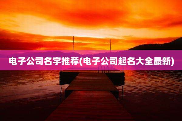 电子公司名字推荐(电子公司起名大全最新)