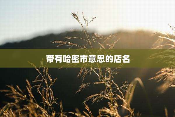 带有哈密市意思的店名
