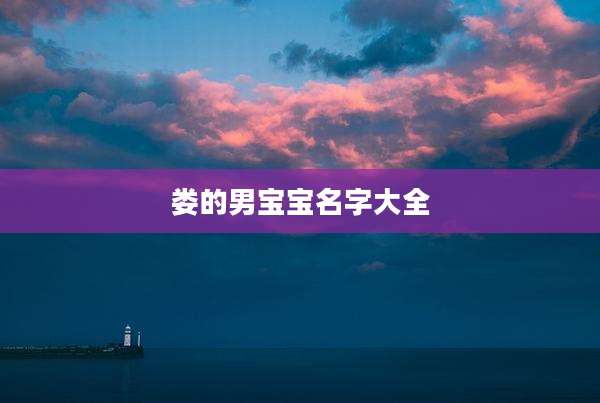 娄的男宝宝名字大全