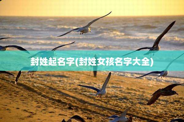 封姓起名字(封姓女孩名字大全)