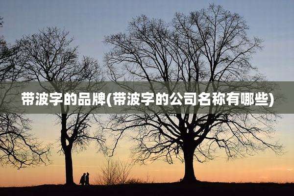 带波字的品牌(带波字的公司名称有哪些)