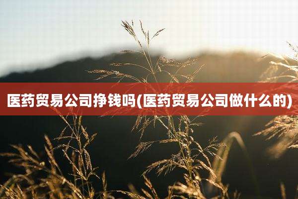 医药贸易公司挣钱吗(医药贸易公司做什么的)