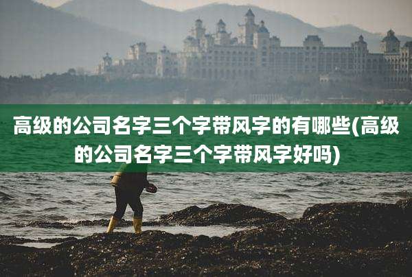 高级的公司名字三个字带风字的有哪些(高级的公司名字三个字带风字好吗)