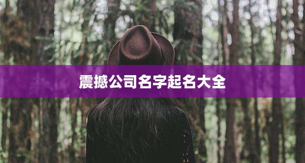 震撼公司名字起名大全