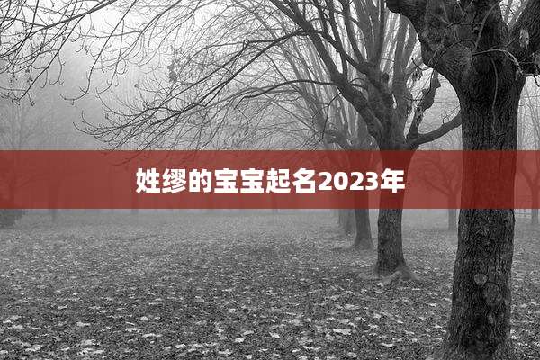 姓缪的宝宝起名2023年