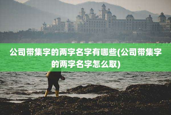 公司带集字的两字名字有哪些(公司带集字的两字名字怎么取)