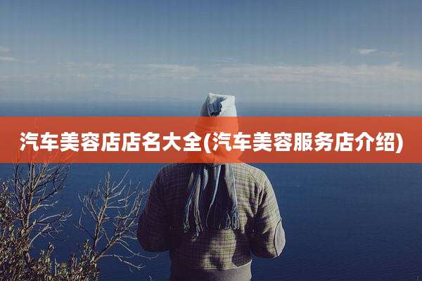汽车美容店店名大全(汽车美容服务店介绍)