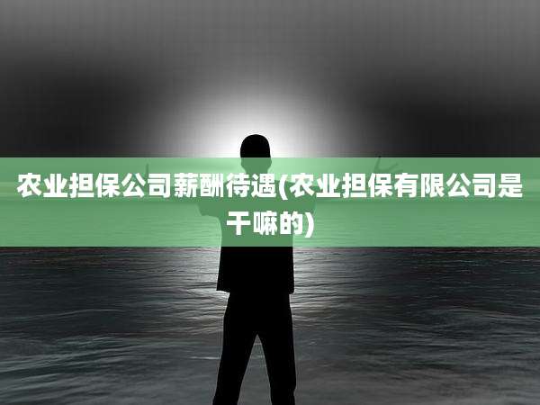 农业担保公司薪酬待遇(农业担保有限公司是干嘛的)