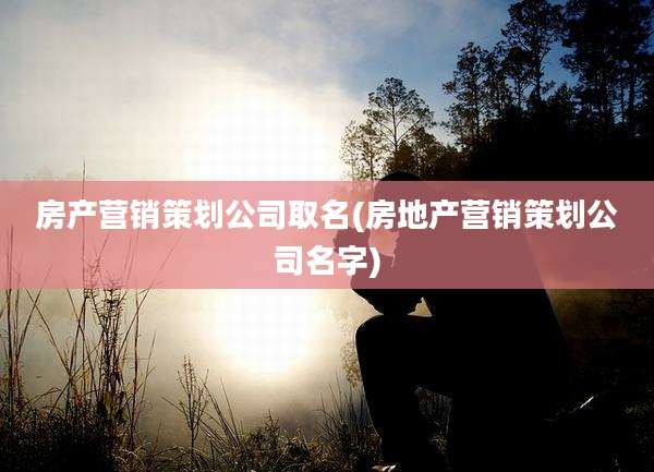 房产营销策划公司取名(房地产营销策划公司名字)