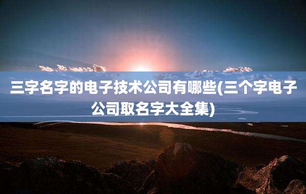 三字名字的电子技术公司有哪些(三个字电子公司取名字大全集)