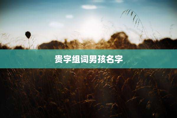 贵字组词男孩名字