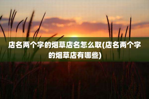 店名两个字的烟草店名怎么取(店名两个字的烟草店有哪些)