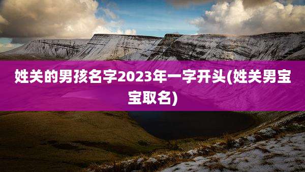 姓关的男孩名字2023年一字开头(姓关男宝宝取名)