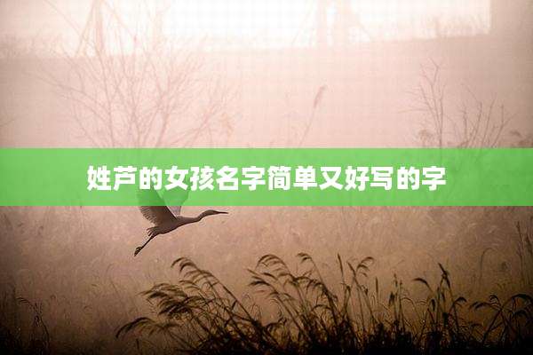 姓芦的女孩名字简单又好写的字
