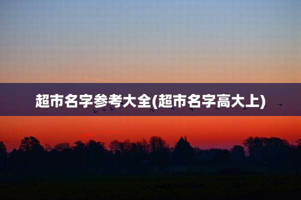 超市名字参考大全(超市名字高大上)