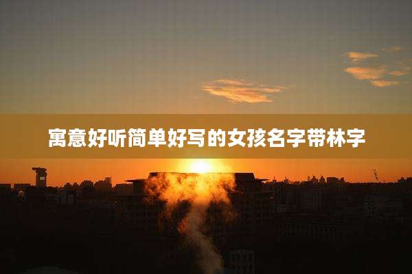 寓意好听简单好写的女孩名字带林字