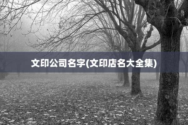 文印公司名字(文印店名大全集)
