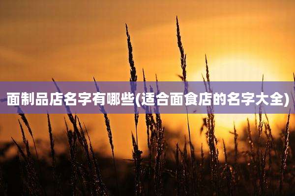 面制品店名字有哪些(适合面食店的名字大全)