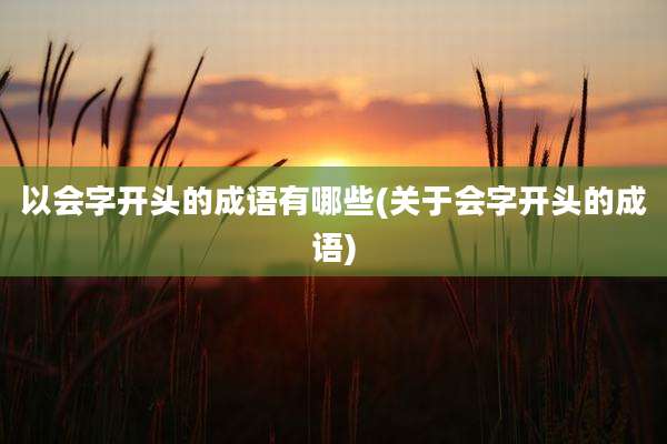 以会字开头的成语有哪些(关于会字开头的成语)