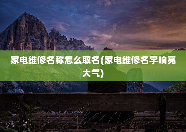 家电维修名称怎么取名(家电维修名字响亮大气)