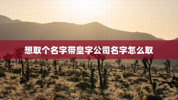 想取个名字带皇字公司名字怎么取