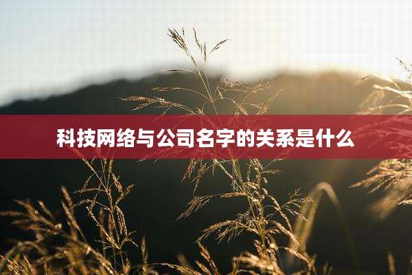 科技网络与公司名字的关系是什么