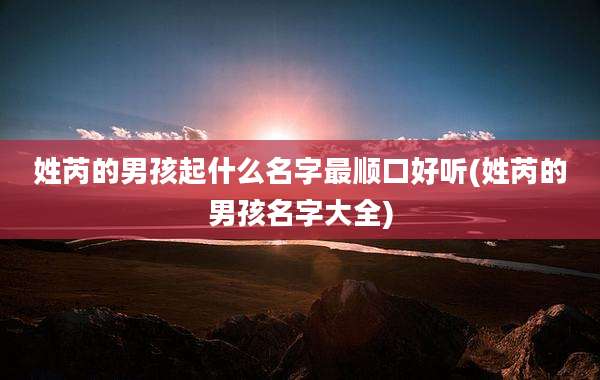 姓芮的男孩起什么名字最顺口好听(姓芮的男孩名字大全)