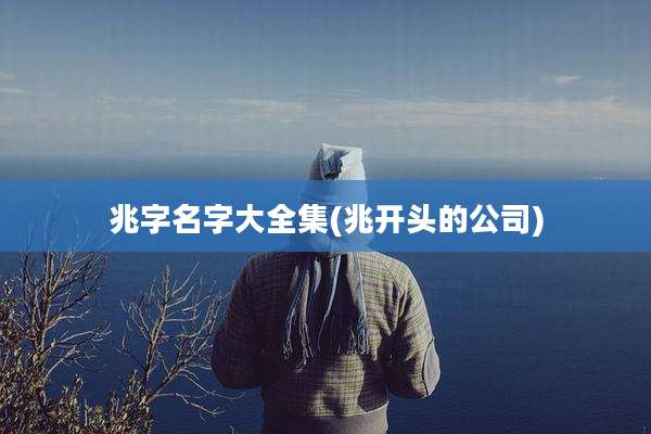 兆字名字大全集(兆开头的公司)