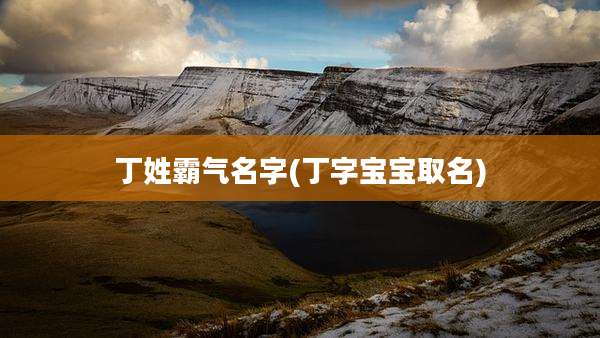丁姓霸气名字(丁字宝宝取名)