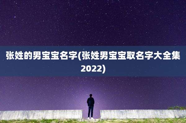 张姓的男宝宝名字(张姓男宝宝取名字大全集2022)
