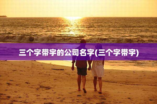 三个字带宇的公司名字(三个字带宇)