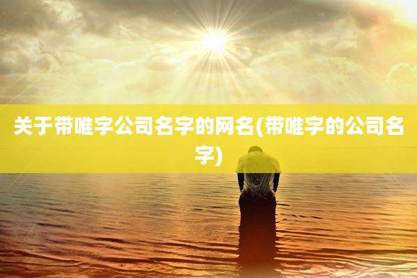 关于带唯字公司名字的网名(带唯字的公司名字)