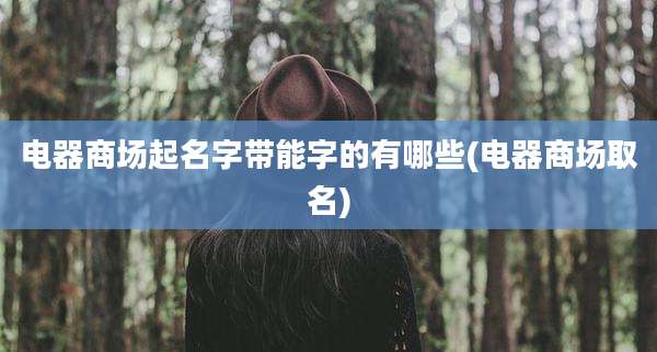 电器商场起名字带能字的有哪些(电器商场取名)