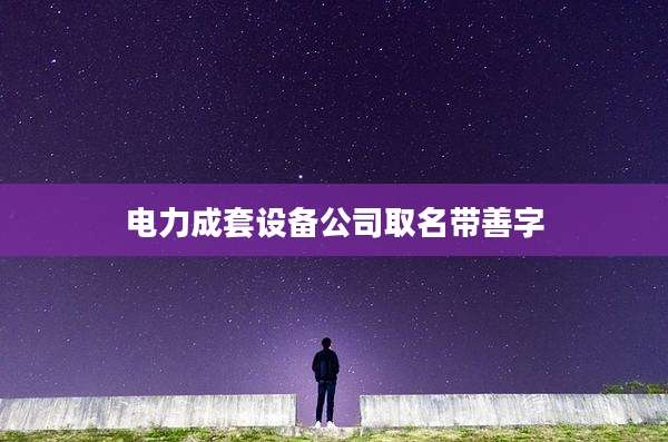 电力成套设备公司取名带善字