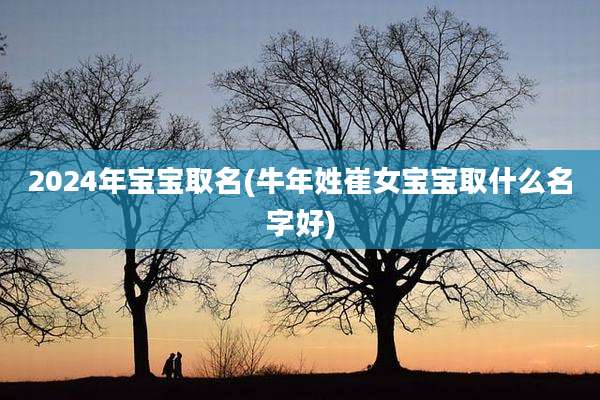 2024年宝宝取名(牛年姓崔女宝宝取什么名字好)