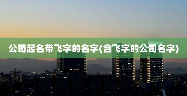 公司起名带飞字的名字(含飞字的公司名字)