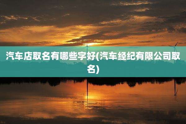 汽车店取名有哪些字好(汽车经纪有限公司取名)