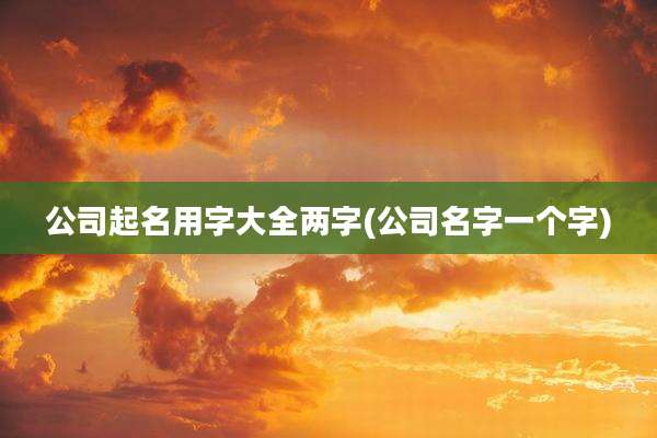 公司起名用字大全两字(公司名字一个字)