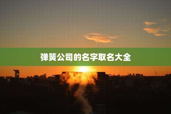 弹簧公司的名字取名大全