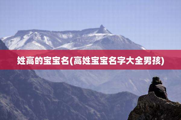 姓高的宝宝名(高姓宝宝名字大全男孩)