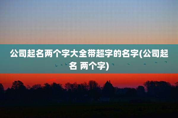公司起名两个字大全带超字的名字(公司起名 两个字)