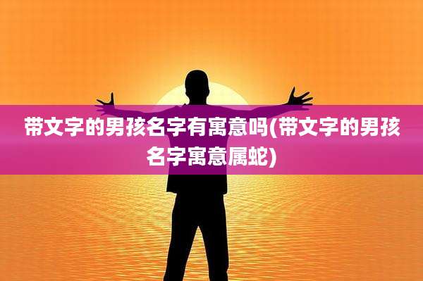 带文字的男孩名字有寓意吗(带文字的男孩名字寓意属蛇)