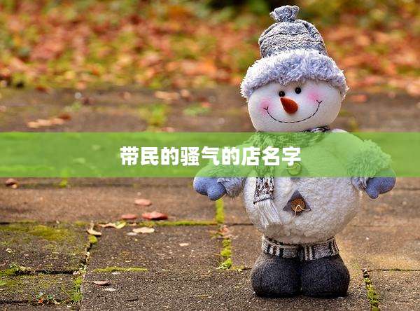带民的骚气的店名字