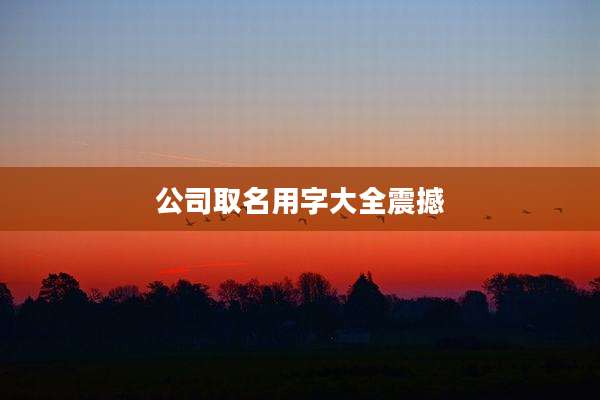 公司取名用字大全震撼